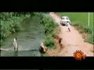 1000152630.gif