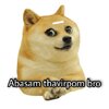 1000235950.jpg