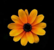 1759743308071.png