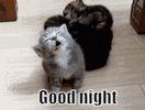 user1798060_3b93fe7d5931.gif