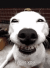 1000044058.gif