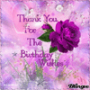 352228-Thank-You-For-The-Birthday-Wishes.gif