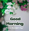 IMG_20251110_101620.jpg