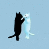 cats-dancing-cats-holding-hands.gif