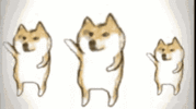 corgi-cute.gif