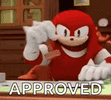 knuckles-knuckles-the-echidna.gif