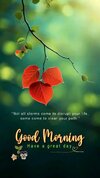 Beautiful-Good-Morning-Images-Wishes.jpeg
