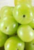 indian-gooseberry-jpg-250x250.jpg