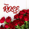 happy-rose-day-instagram-post-design-template-7f445a9b737a60b4e90de2df763f2e38_screen.jpg