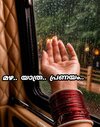 65719.jpg