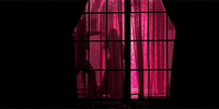 1000134818.gif
