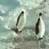 1778250668300.gif