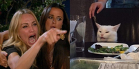 women yelling at cat meme