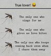 1000161519.jpg