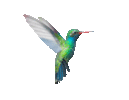 giphy.gif giphy.gif