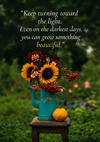 file_000000006db471f5bf55f0e55006f211.png