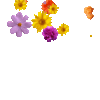 1000363009.gif