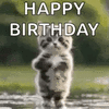 70032.gif