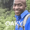 oaky-okay-ok-meme-typo-oakley.gif