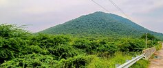 IMG_20251202_142150 (1).jpg