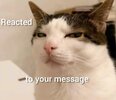1000190619-01.jpeg