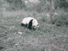 1779896030770.gif