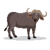 1779950768062.gif