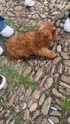 IMG_4109.jpeg