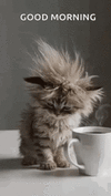 1780119066634.gif