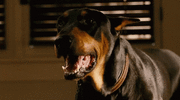 3d1cb2686ba1f600981d4156d7c26d2f.gif 3d1cb2686ba1f600981d4156d7c26d2f.gif