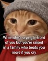 IMG_8847.jpeg