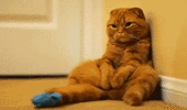 1000387214.gif