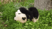 1000215534.gif