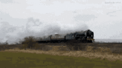 1000551870.gif