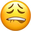 images.jpeg