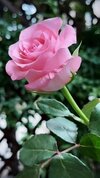 5db1fd2f28f19678251d3baea24703b6.jpg