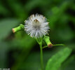 IMG_2576.jpeg
