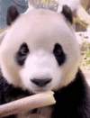 1000216383.gif