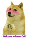 1000243701.jpg