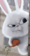65a84f81807fa051222142.gif