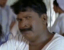1000390329.gif