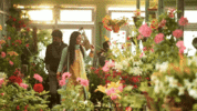 1000034269.gif