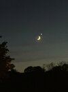 IMG_3811.jpeg