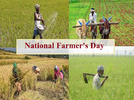 National-Farmers-Day-Quotes.png National-Farmers-Day-Quotes.png