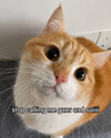 1781948959740.png