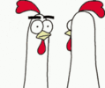 1000390565.gif