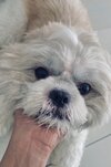 IMG_3022.jpeg