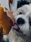 A774C592-EAAB-4239-A532-D3663D76976D.png