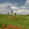 1000222781.gif