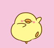 1000223121.gif